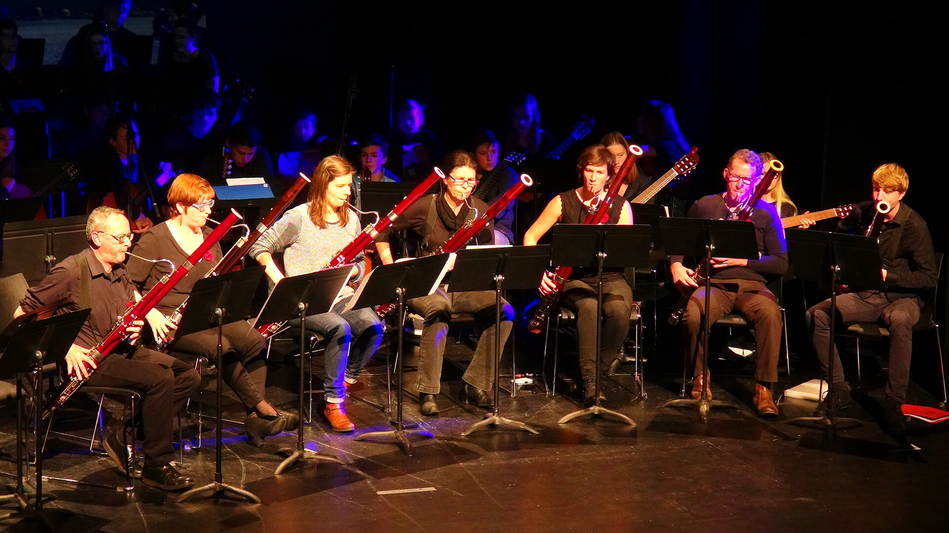 De Academie - Muziek - Volwassenen